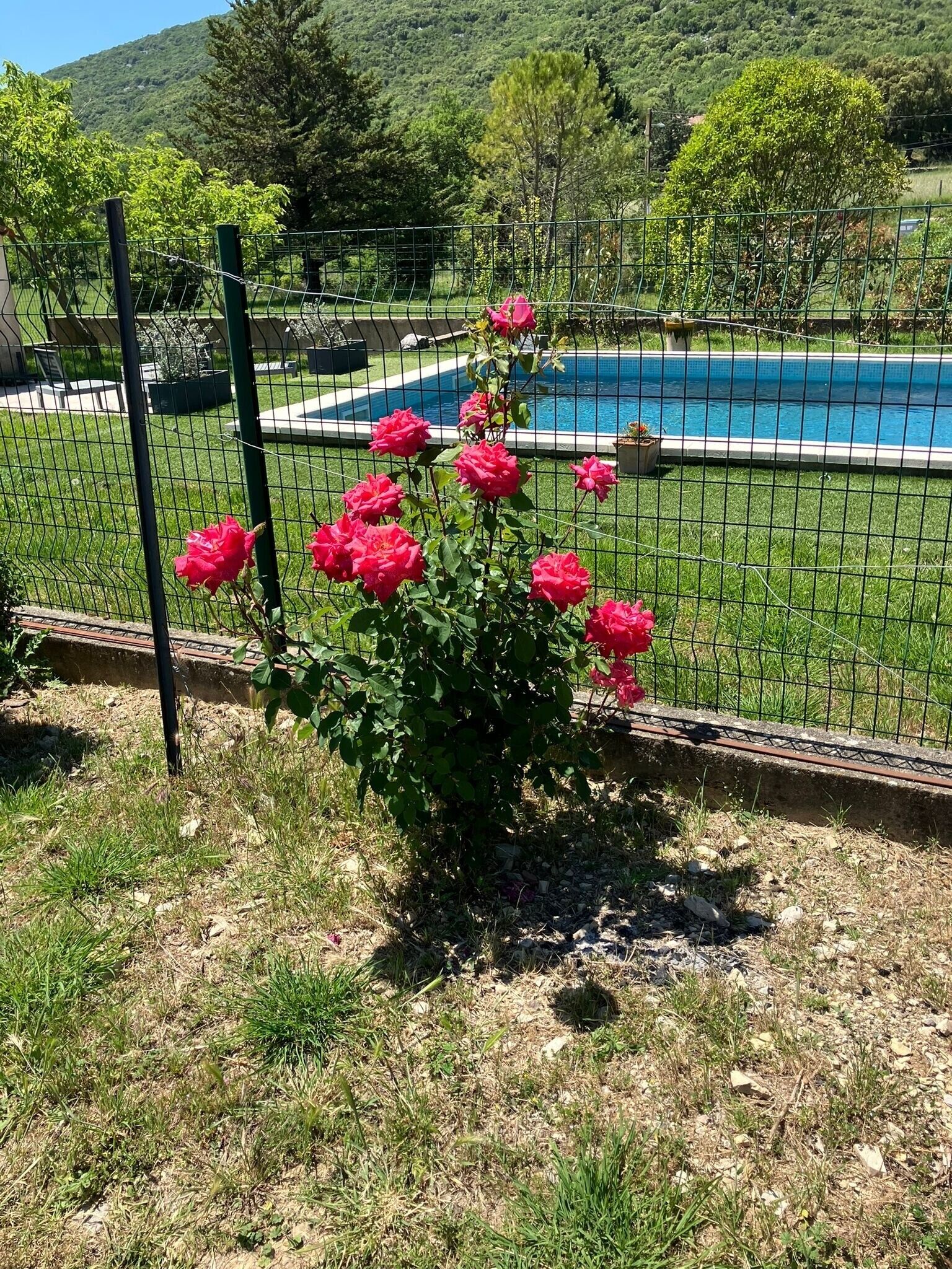 Ein Garten mit Pool und Blick auf die Berge, umzäunt.
