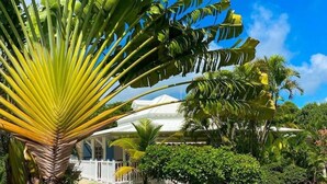 Ein tropischer Garten mit einer markanten Palme, einem weißen Gazebo und üppigem Grün.