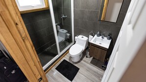 A bathroom with a glass shower enclosure, a toilet, a sink, and a mirror. - cabañas entre sauces (Coyhaique)