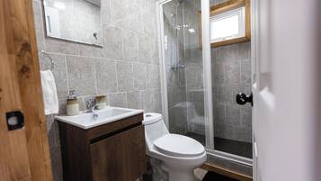 A bathroom with a shower, toilet, sink, and wooden cabinet.