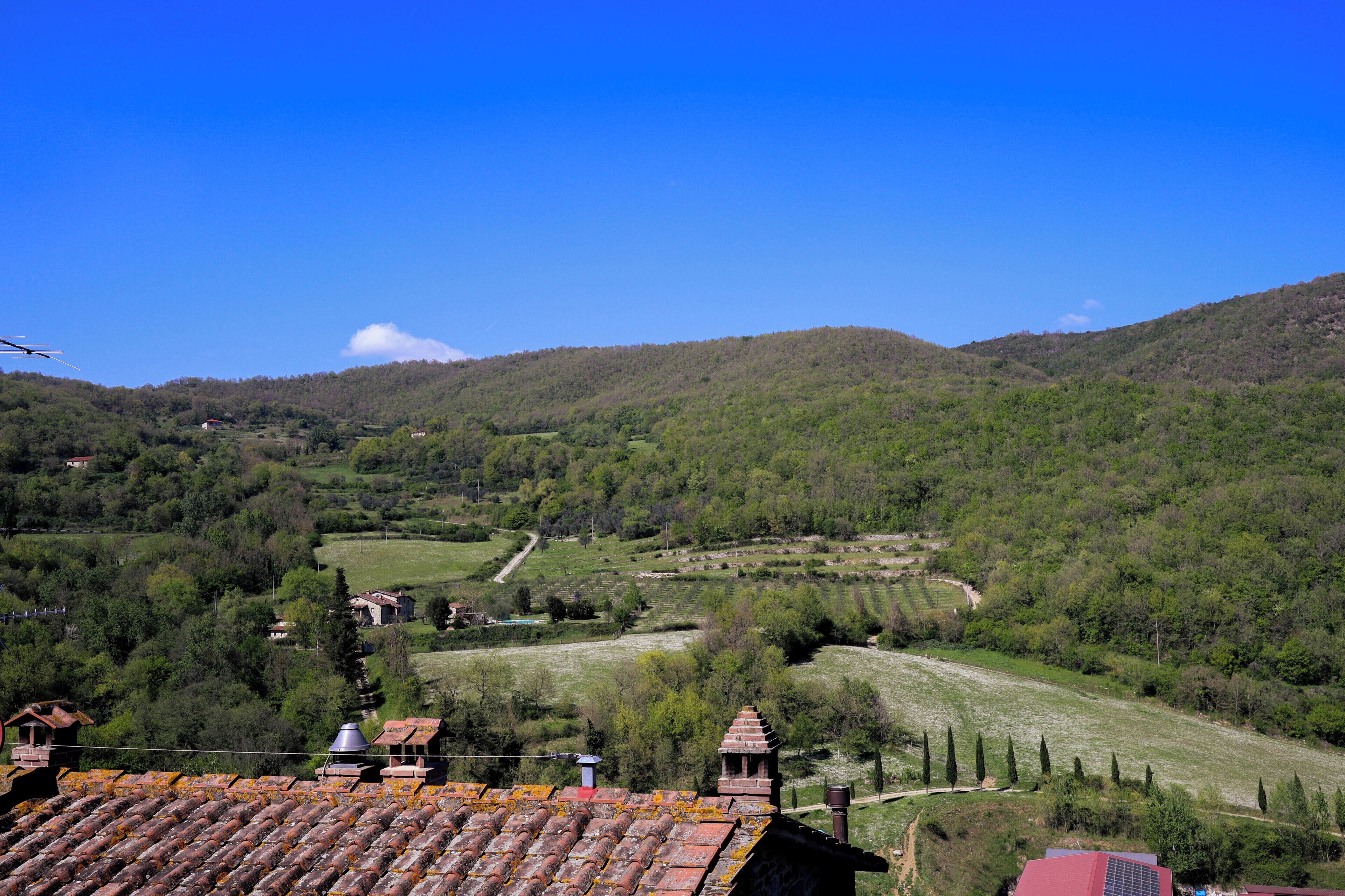 A rural landscape with a village, terraced fields, and a mountain in the background.