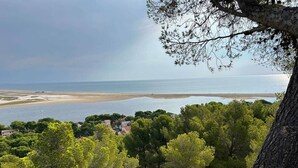 A coastal landscape with dense greenery, a beach, and a view of the sea. - Seaside house adjoining the beach Leucate La Franqui (Leucate)