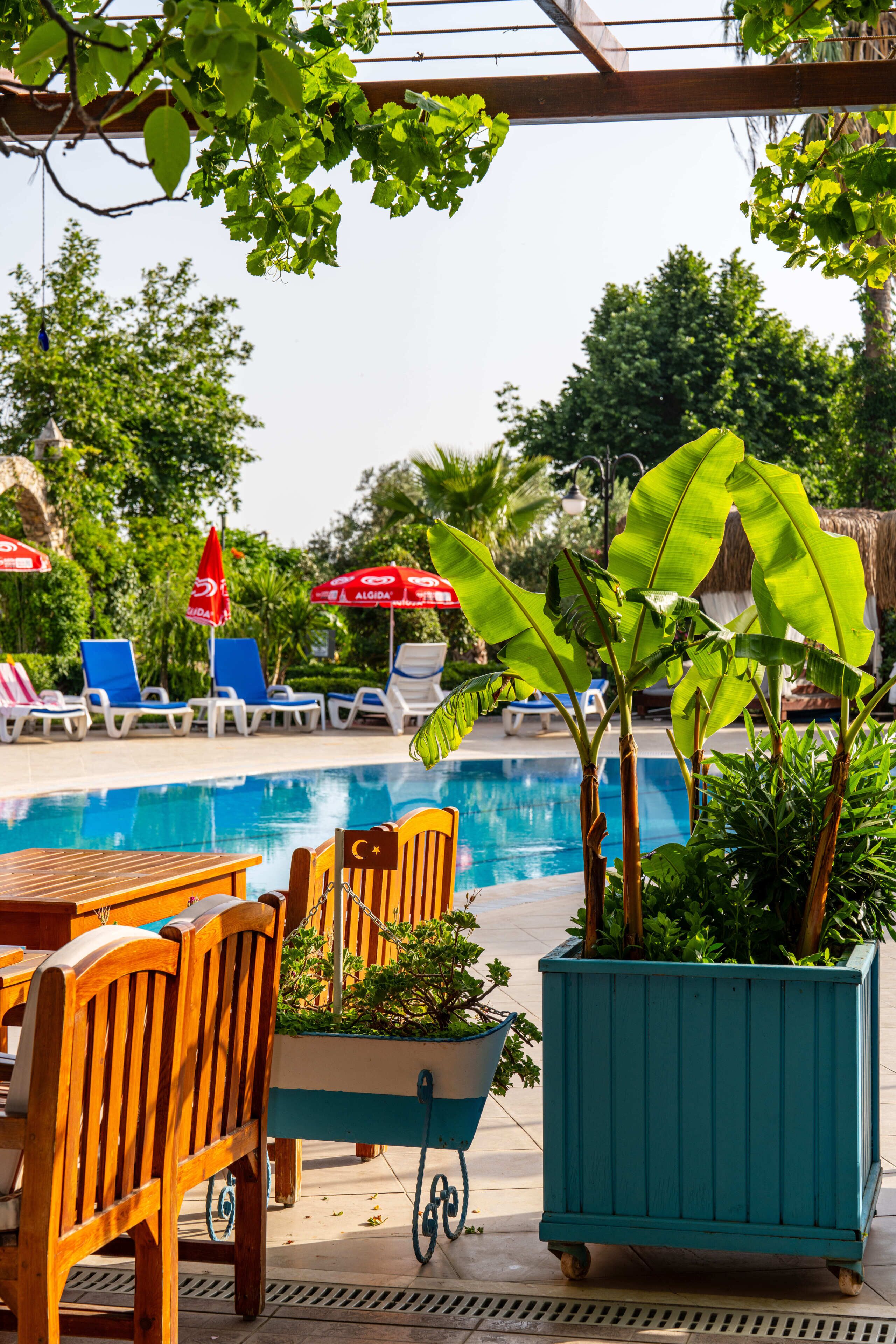 A poolside area with lounge chairs, a wooden table, and a planter with a banana plant.