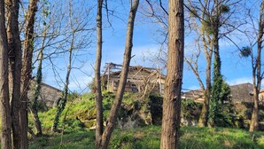 Un paysage naturel avec des arbres et un bâtiment en arrière-plan.