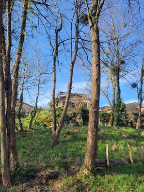 Property grounds - Le Pressoir de St Aubin | Refuge | Nature | 4 pers (Saint-Aubin-de-Branne)