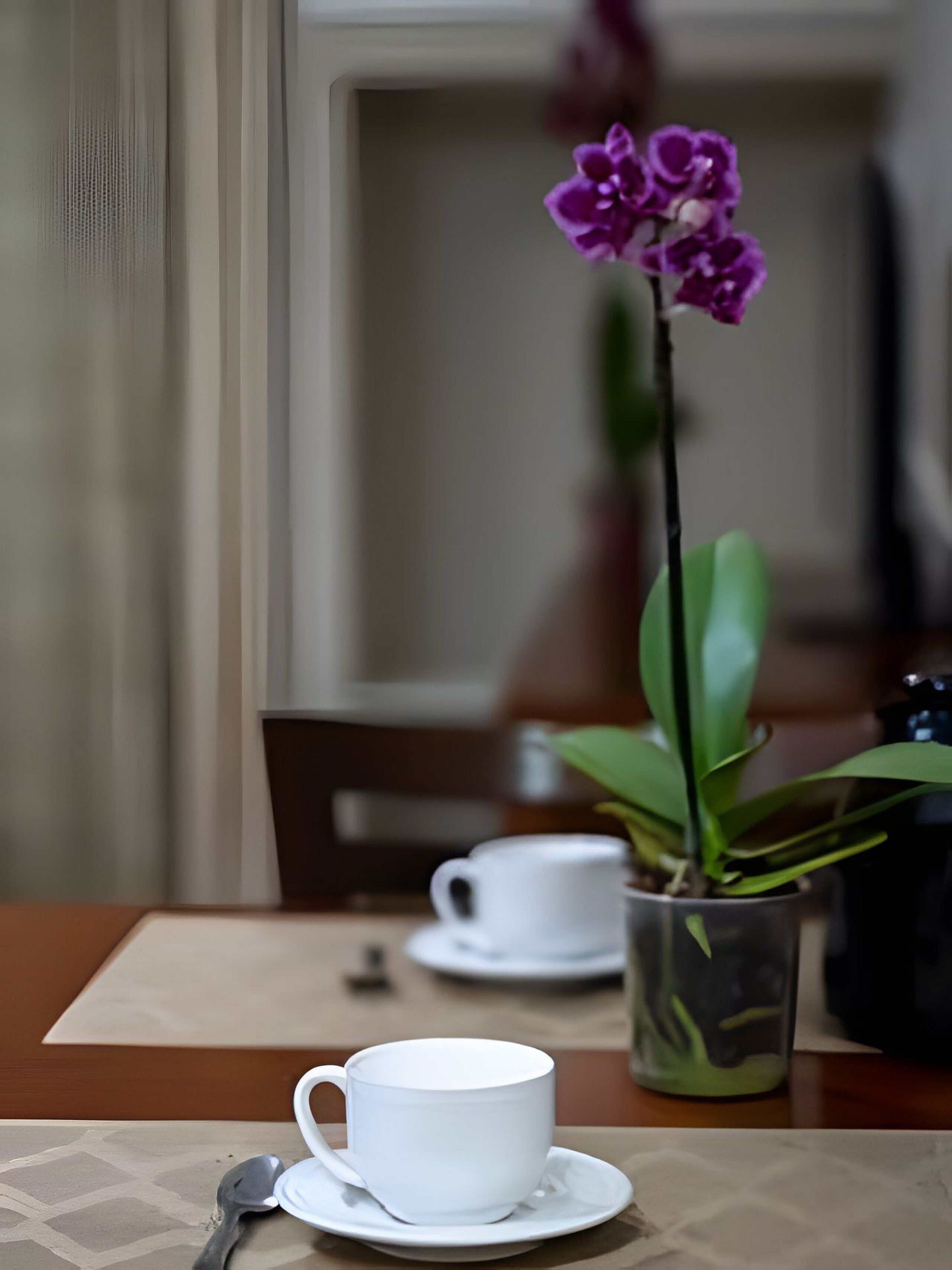 Basic-Apartment | Speisen
