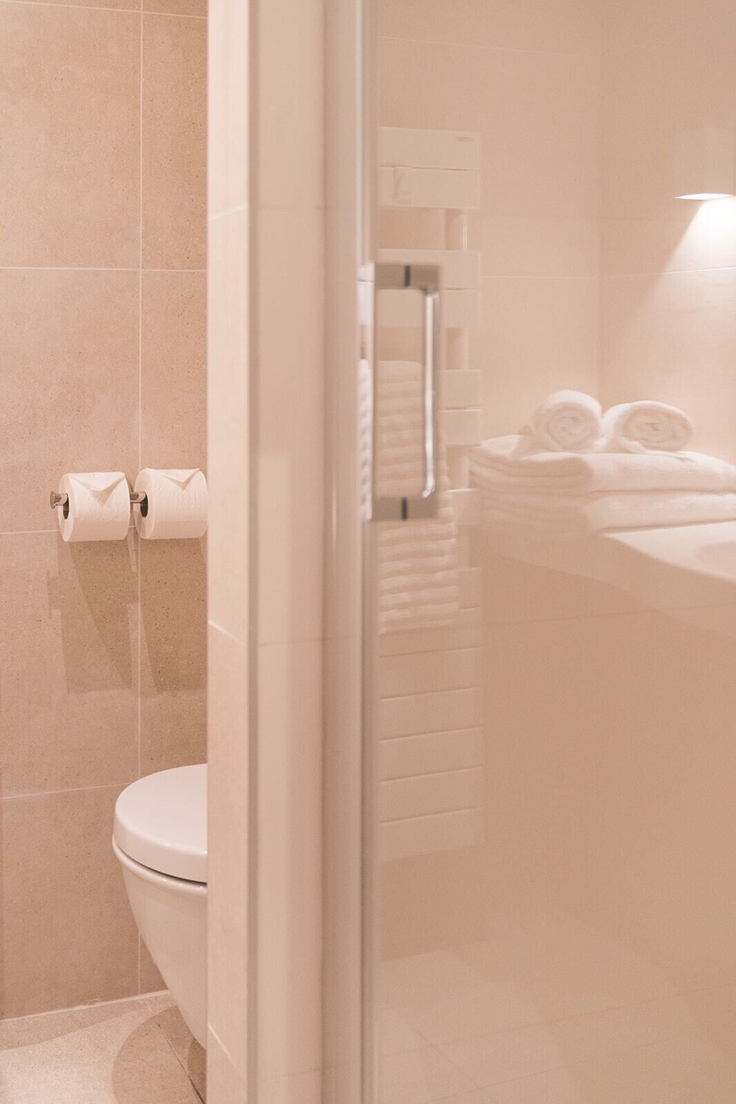 Un baño con inodoro, toallero y cabina de ducha de vidrio.