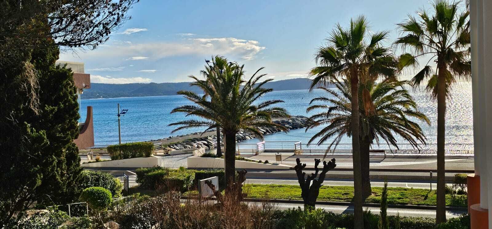 A coastal view with palm trees, a road, and a distant mountain range.
