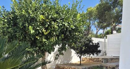 HOUSEASCA0901_4PP