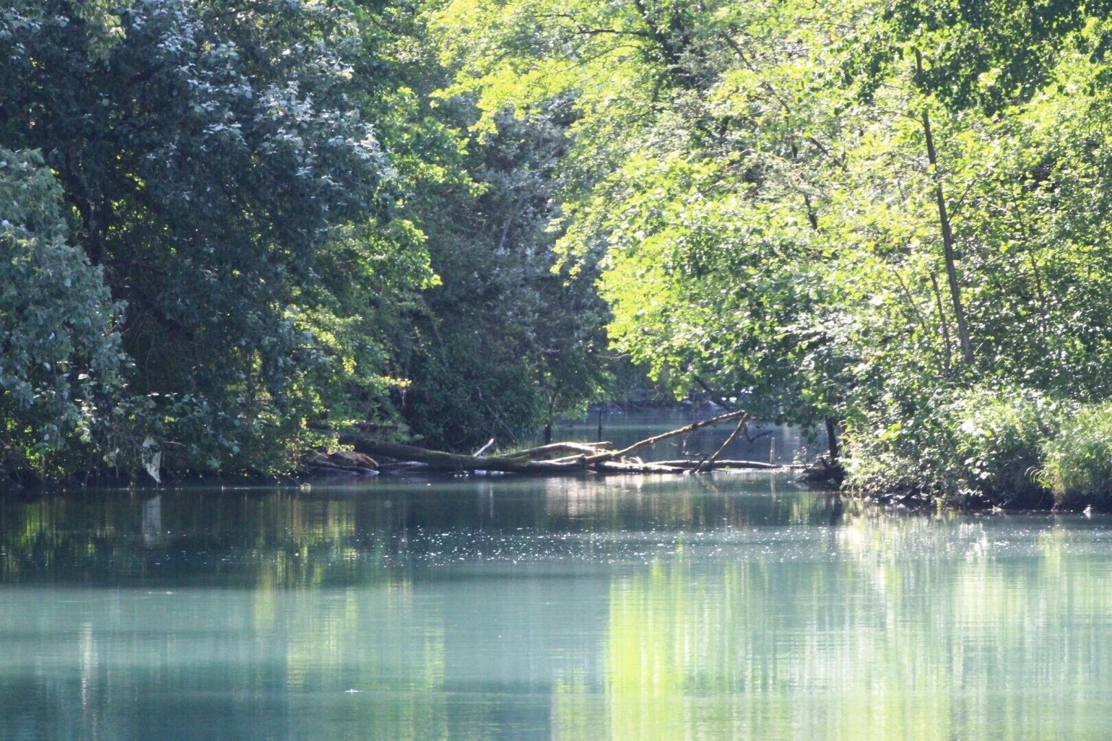 Une rivière paisible, bordée de part et d’autre d’une végétation luxuriante.