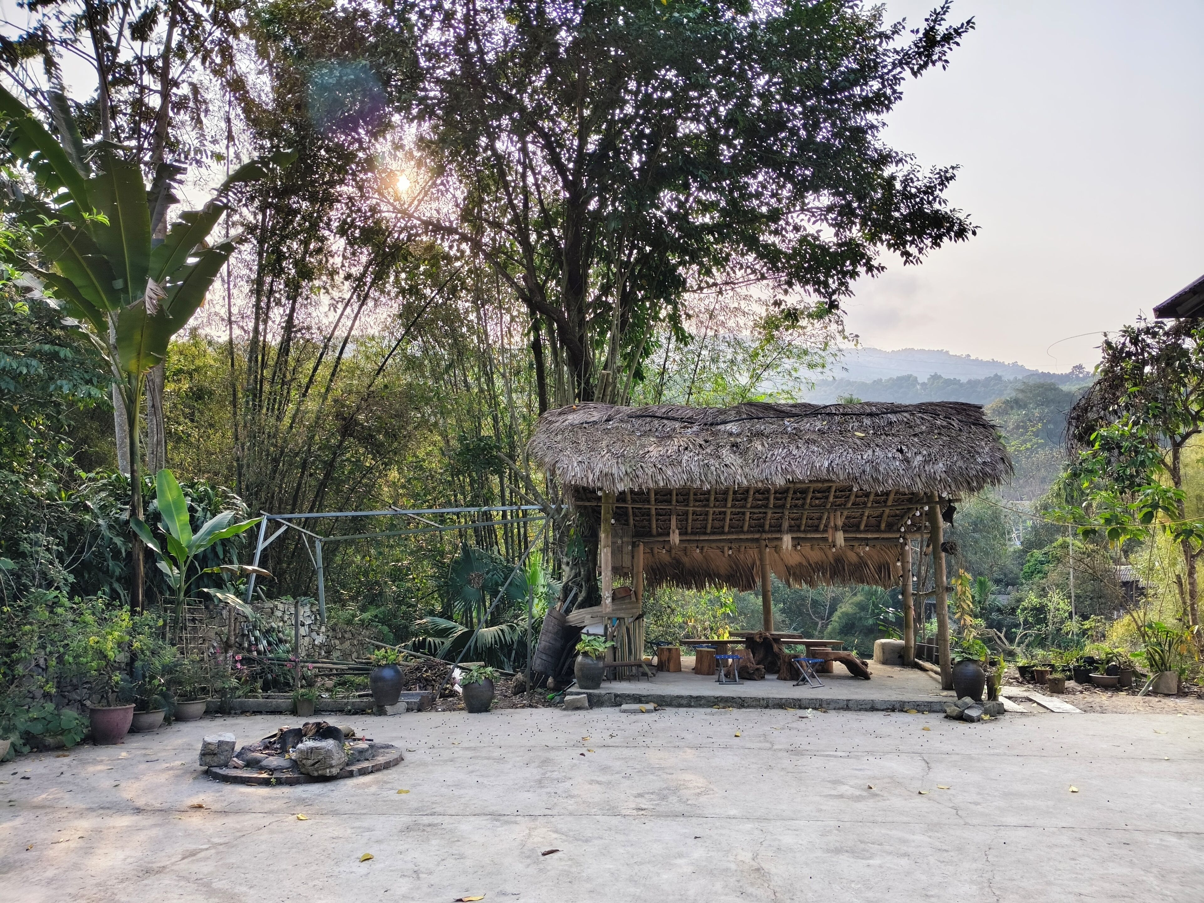 A rustic thatched-roof structure surrounded by lush greenery and a concrete floor.