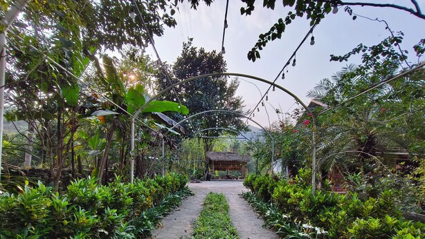 A garden pathway with a thatched-roof structure in the distance. - Vietnam Village Homestay (Ha Giang 1)
