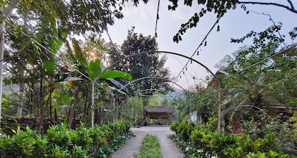 Vietnam Village Homestay