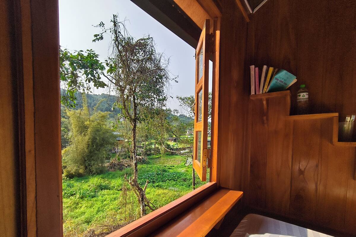 A wooden room with a window, a bed, and a shelf with books.