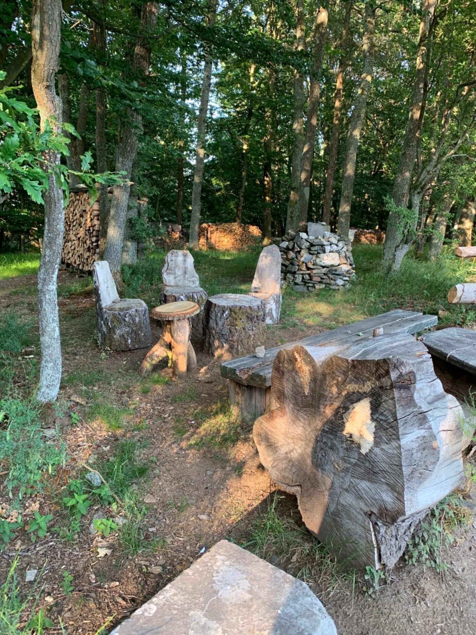 Parco della struttura