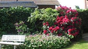 Un jardín con un banco, abundante vegetación y plantas florecientes.