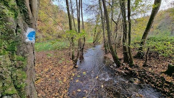 Apartment | View from property