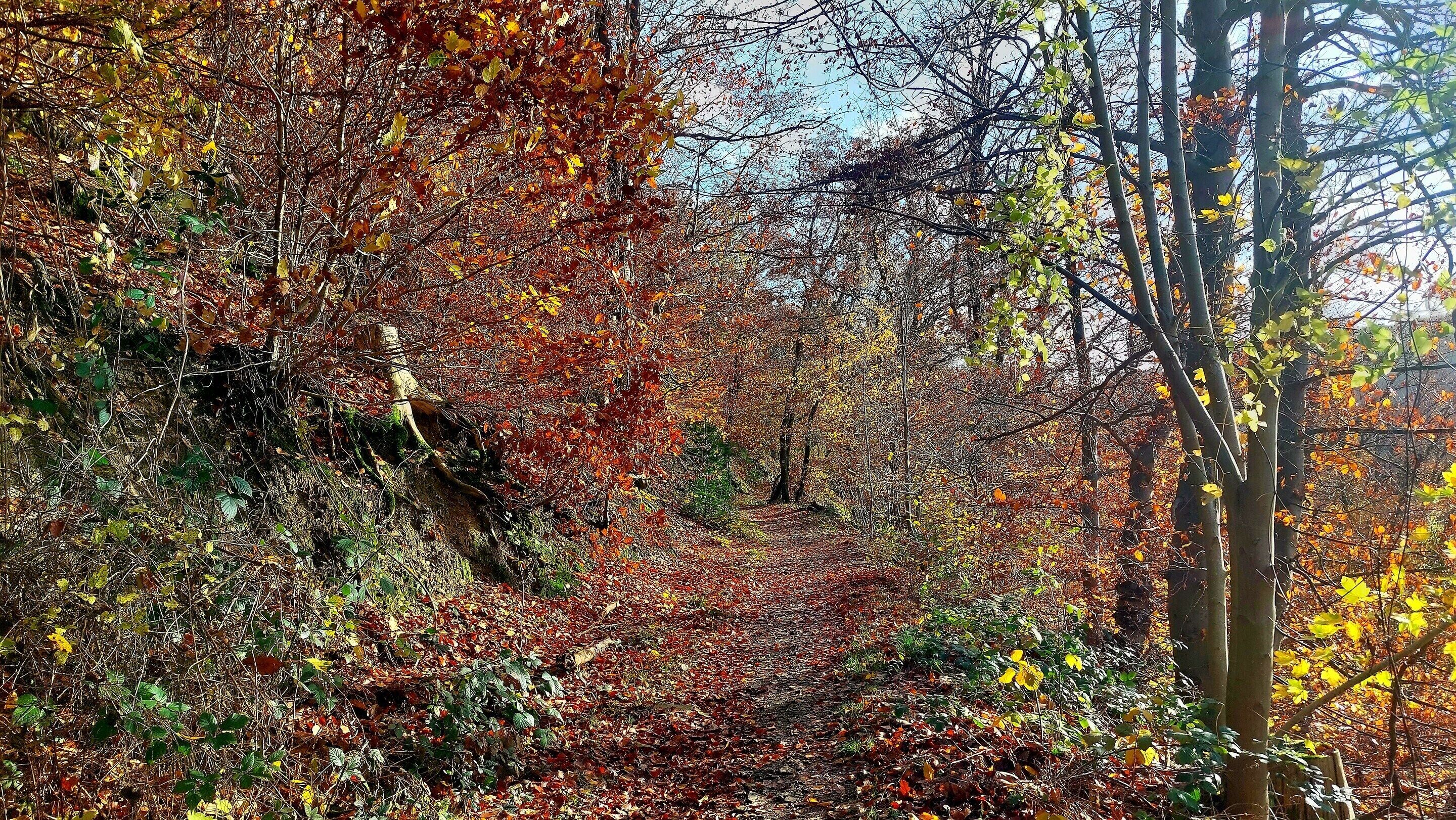 아파트 | 숙박 시설의 전망