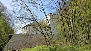 Een gebouw met een schuin dak, omgeven door weelderige begroeiing.