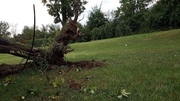 Apartment | View from property