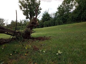 Apartment | Pemandangan dari hartanah