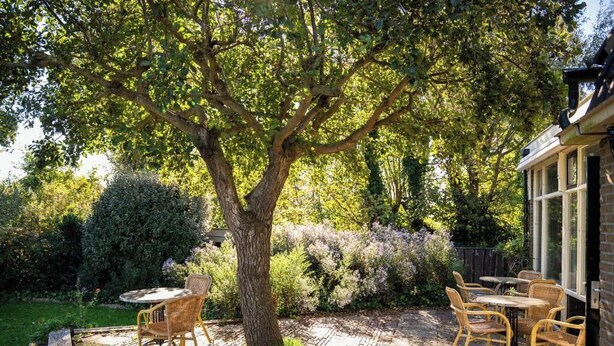 Un patio con mobiliario de mimbre y un árbol grande que da sombra.