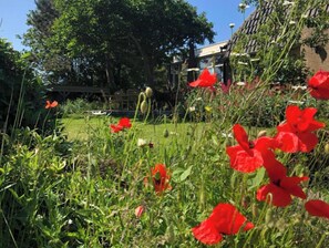 Property grounds - Hotel de Horper Wielen (Terschelling)