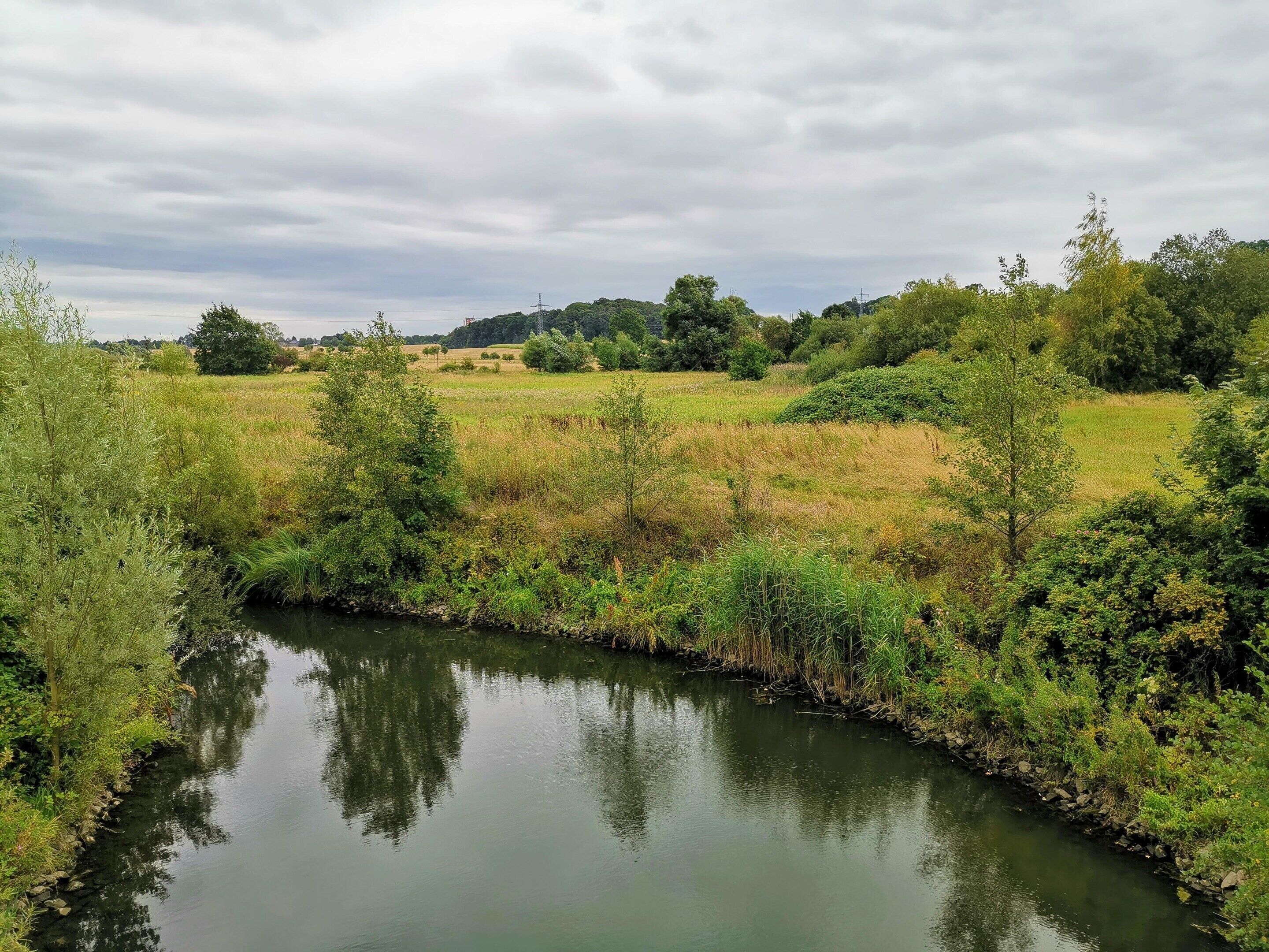 Ein Fluss schlängelt sich durch eine üppige Landschaft mit dichter Vegetation und Bäumen.