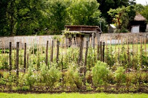 Parco della struttura