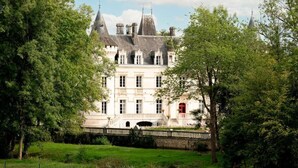 A large, historic building with multiple towers and a central entrance, surrounded by lush greenery. - Château Optical Center (Nieuil)