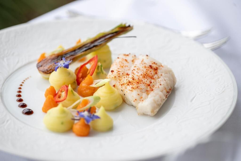 A white plate with a piece of white fish, a grilled vegetable, and a small salad.