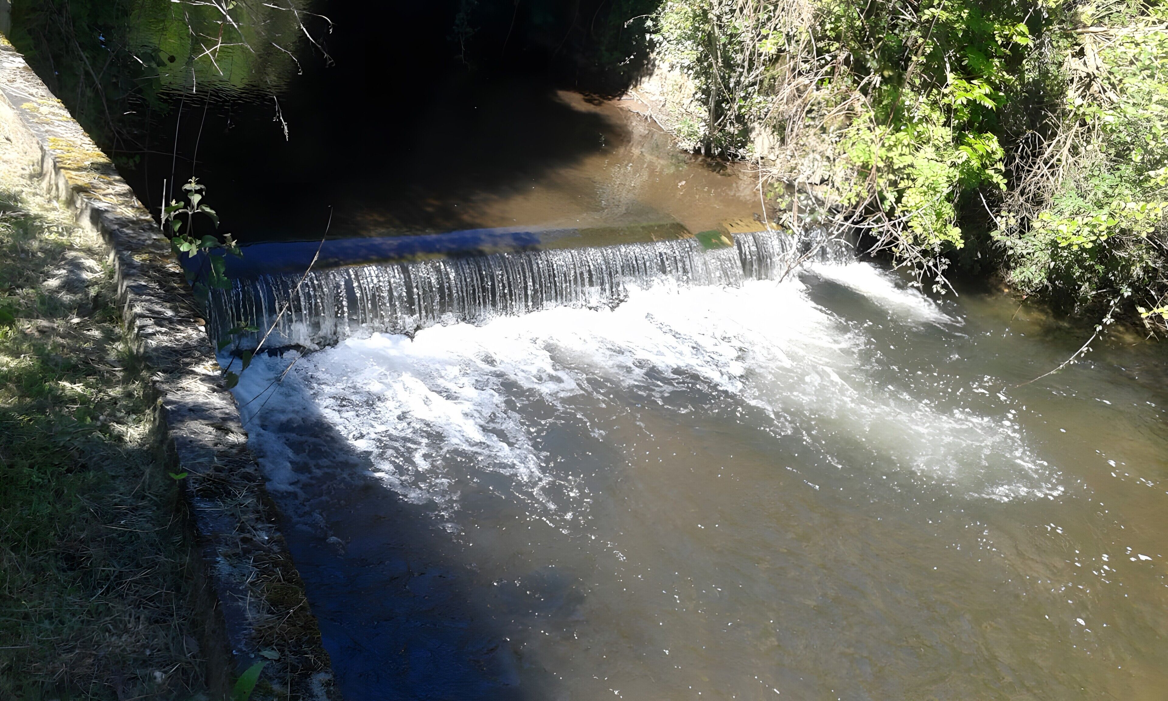 Ein kleiner Wasserfall in einer natürlichen Umgebung mit dichter Vegetation.