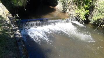 A small waterfall in a natural setting with surrounding vegetation.