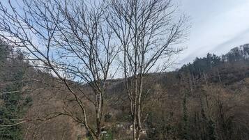 A mountainous landscape with leafless trees and a winding path leading to a small cluster of buildings.