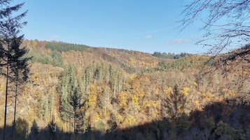 Leilighet | Utsikt fra overnattingsstedet