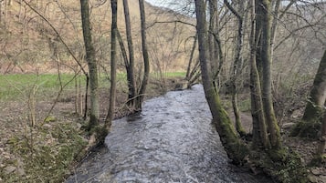 Apartamento | Vistas desde el alojamiento