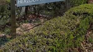 Woffelsbachin kansallispuisto, Eifel – tervetuloa! -kyltti.