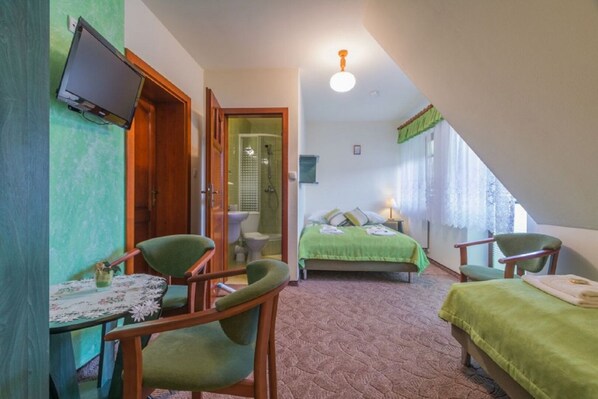 A bedroom with a bed, two chairs, a table, a television, and a shower. - Dom Wczasowy Na Kamiencu (Białka Tatrzańska)