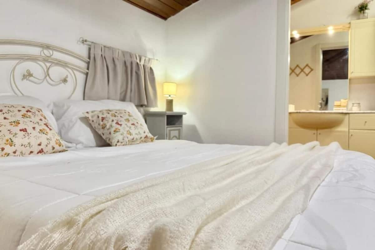 Klassieke tweepersoonskamer, 1 tweepersoonsbed, uitzicht op de binnenplaats