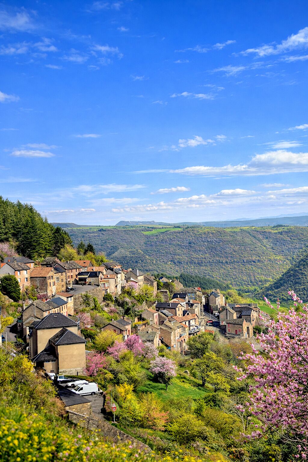 A village with traditional stone buildings, a narrow street, and lush greenery.