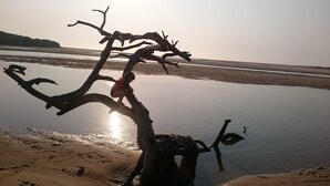 A tree branch over water with a person climbing it. - Kosi Bay Mouth Utshwayelo Lodge and Camp (Mahlungulu)