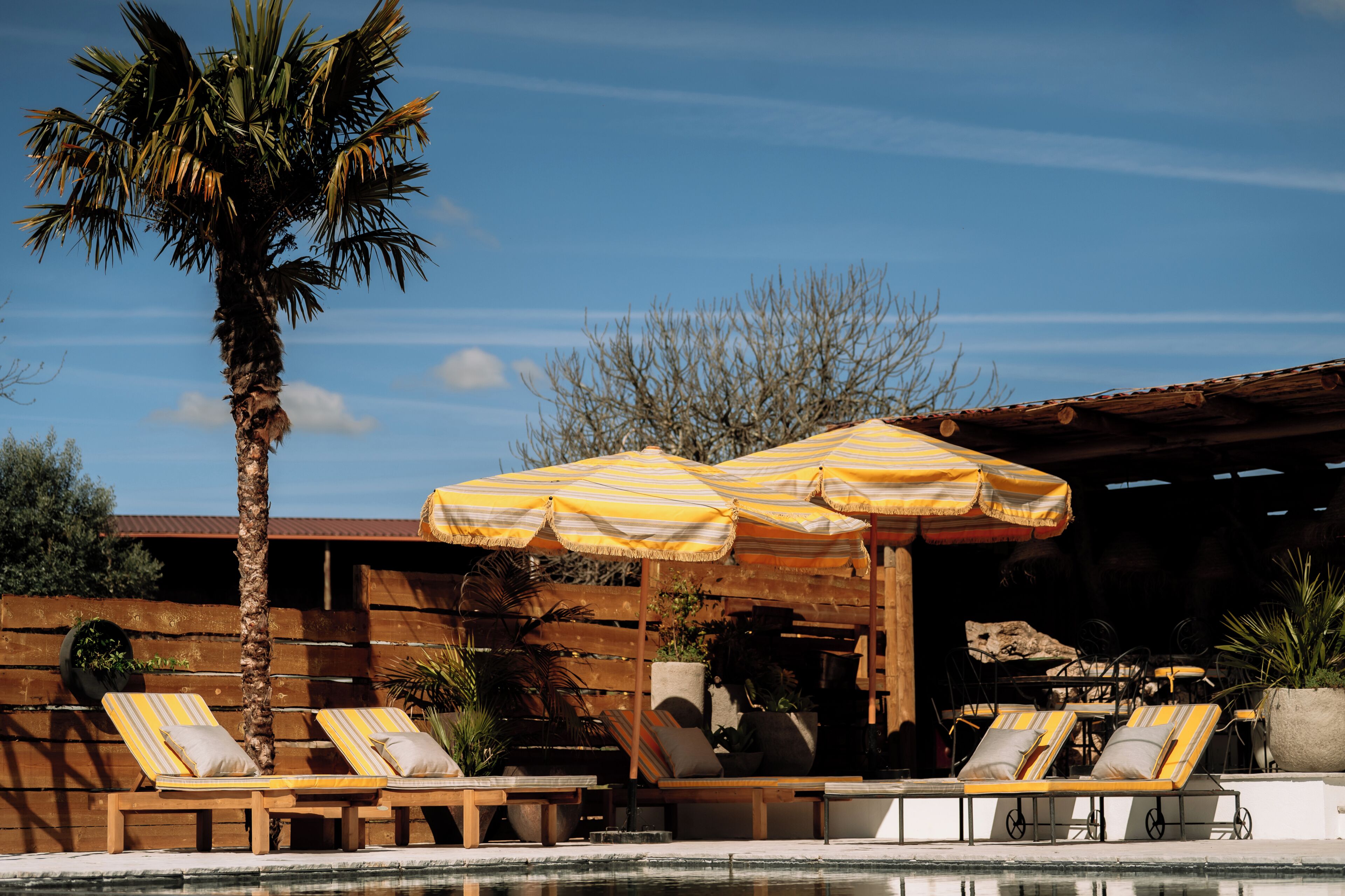 Terrein van de accommodatie