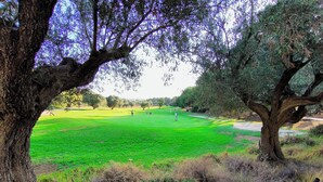 A golf course with a large tree in the foreground, a clear sky, and a distant view of the course. - Holidays in Playa Golf 2 (Orihuela)