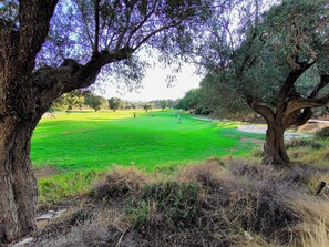 A golf course with a large tree in the foreground, a clear sky, and a distant view of the course. - Holidays in Playa Golf 2 (Orihuela)