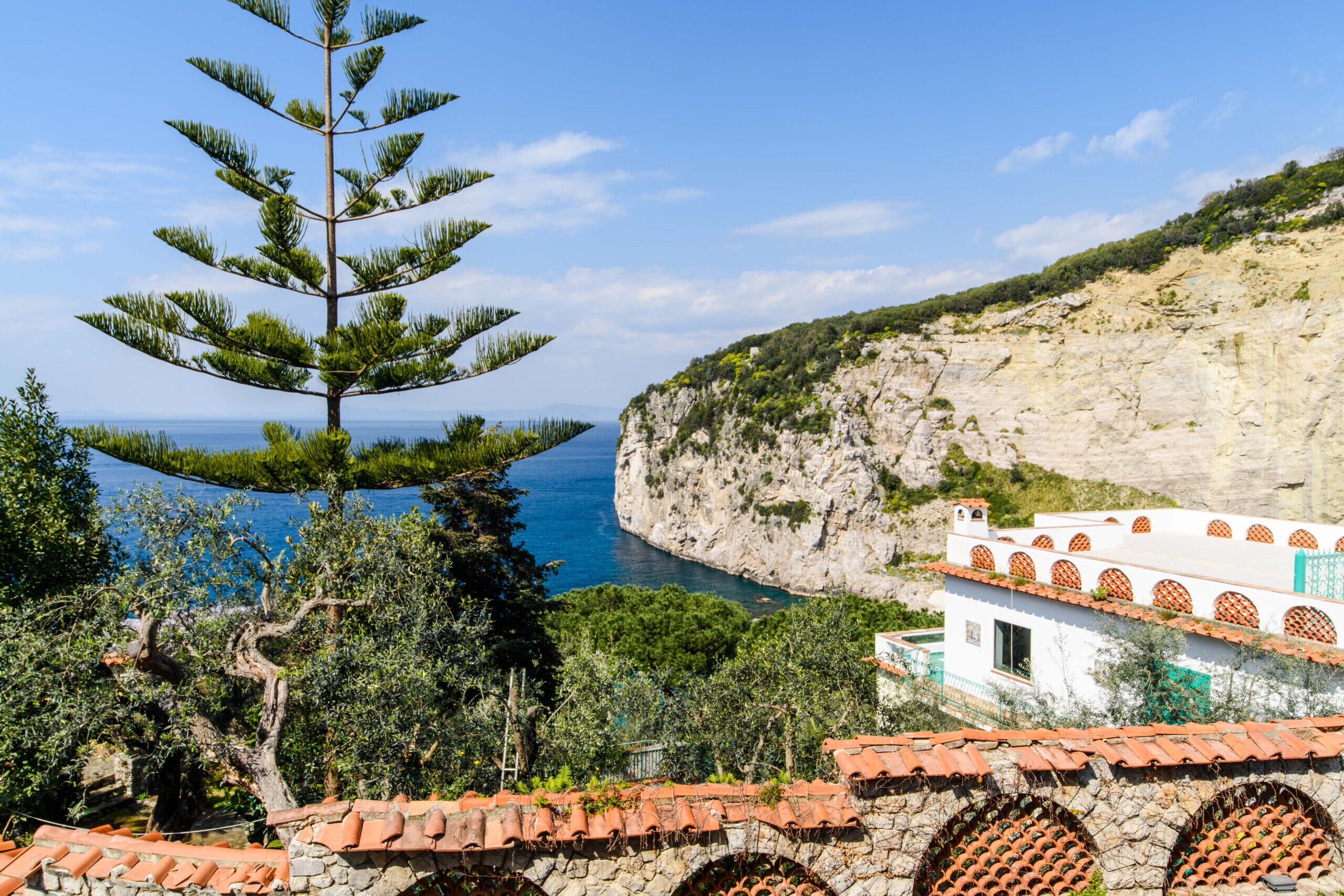 Vista desde la propiedad