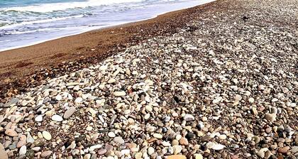 A Taste of the Sea: Relax in Cefalù, with public beaches and the Madonie Park just a stone's throw away