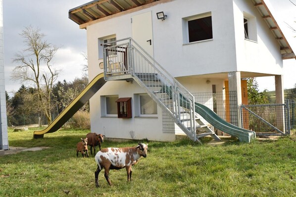 A white building with a staircase and a slide, goats in the foreground, and a fenced area.