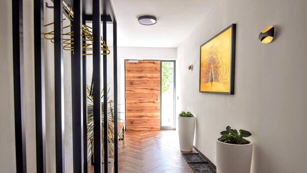 A modern hallway with a wooden door, a framed artwork, and potted plants.