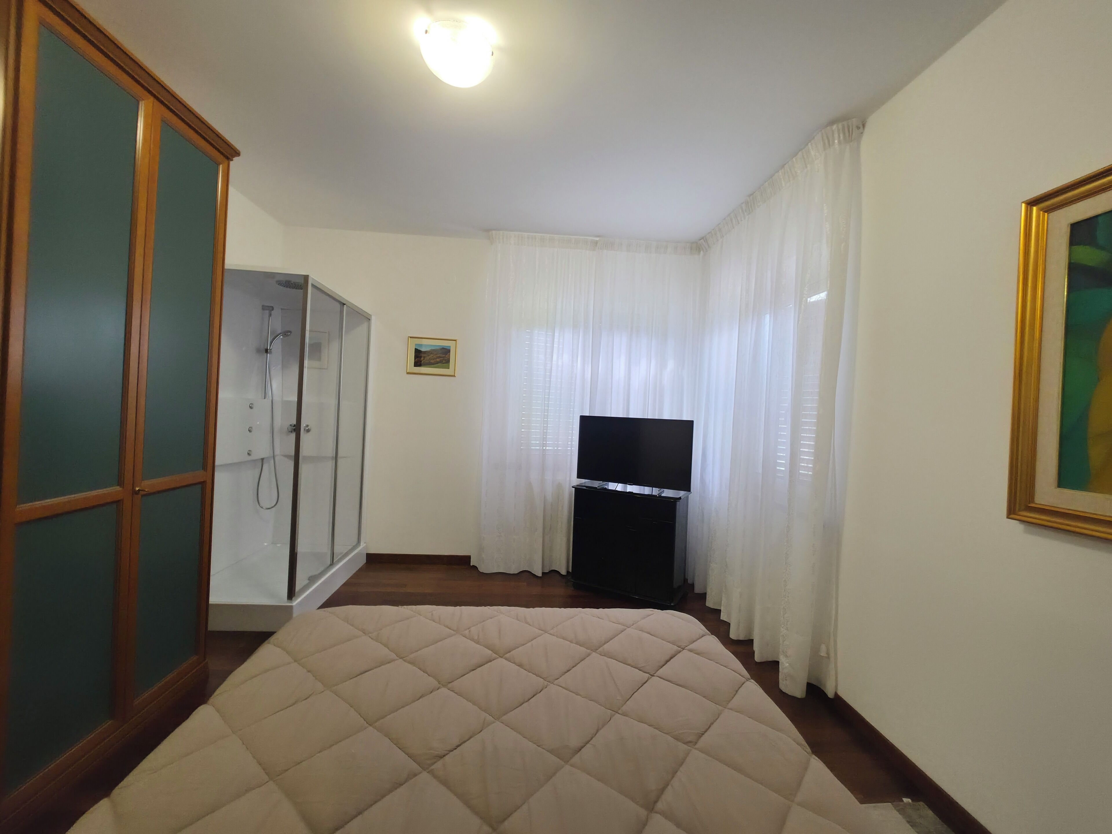 A bedroom with a bed, a TV, a shower, and a wardrobe.