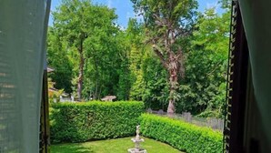 On peut admirer un jardin bien entretenu, avec une fontaine centrale, entouré de haies et d’arbres taillés avec soin.